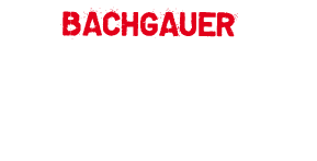 Bachgauer Rocknacht • Bands 2018
